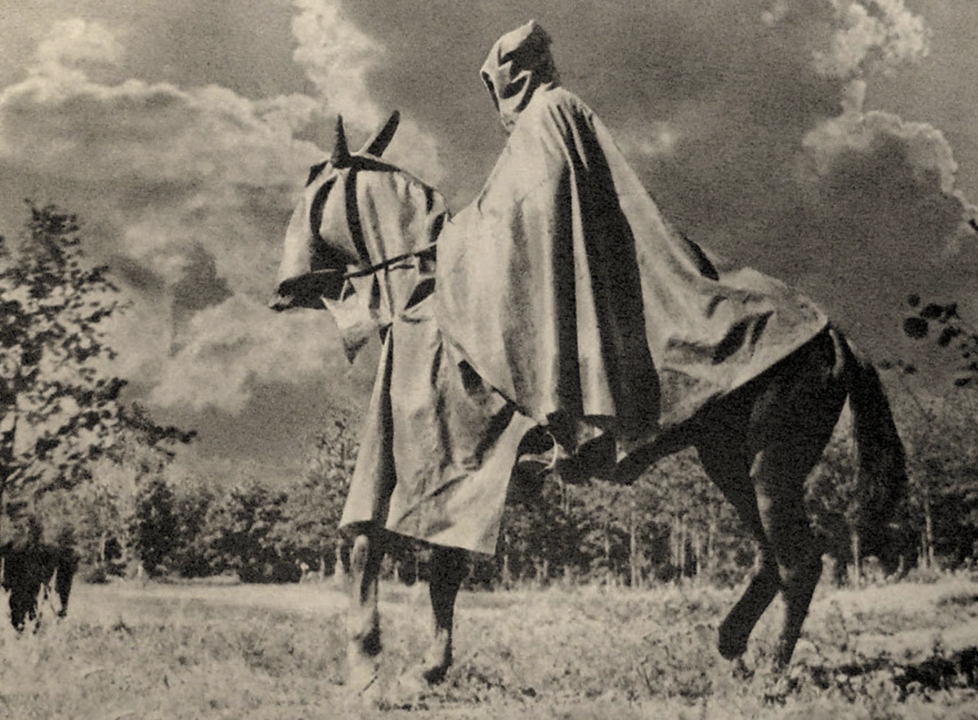 21 Elegantly Attired Equines Throughout History