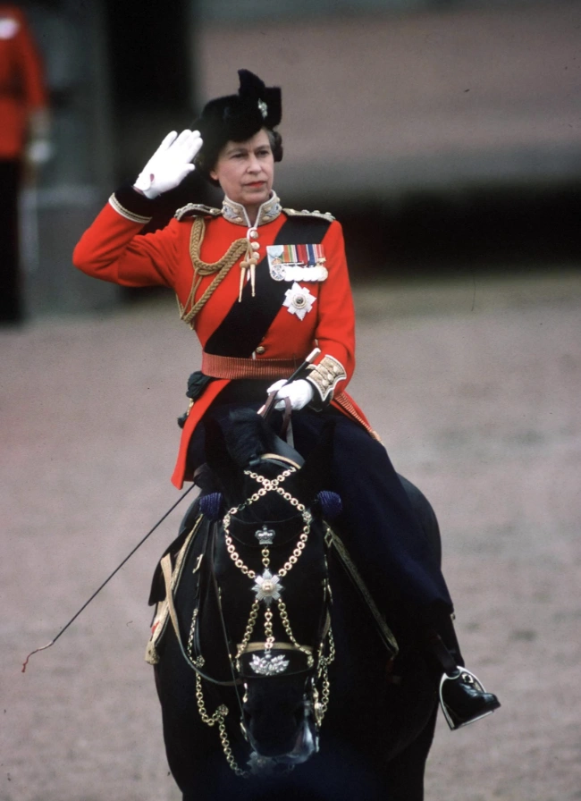 21 Elegantly Attired Equines Throughout History