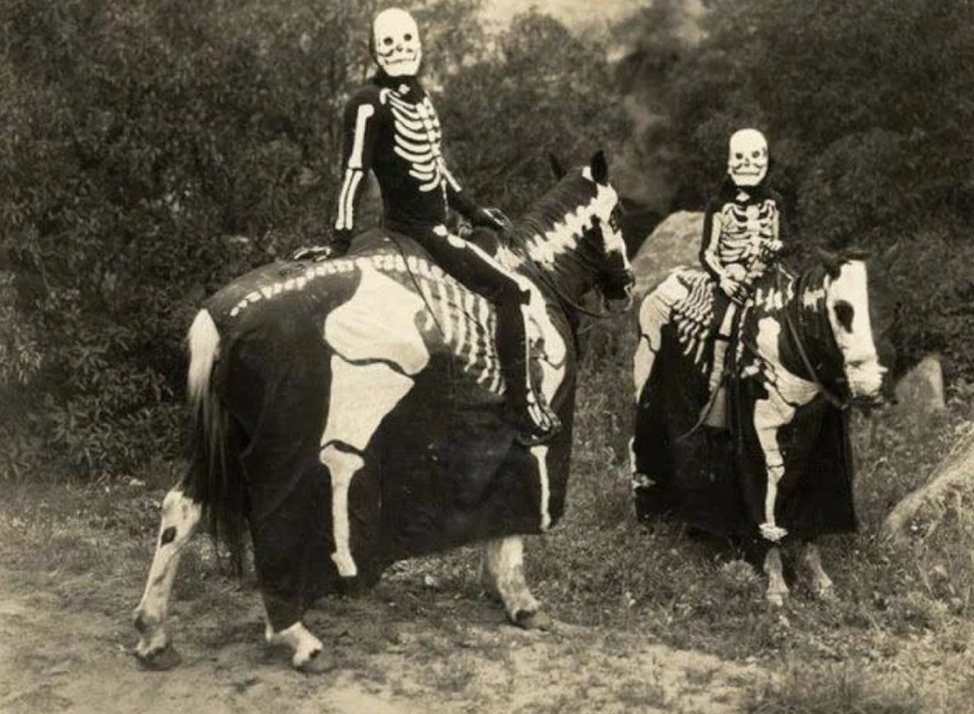 21 Elegantly Attired Equines Throughout History