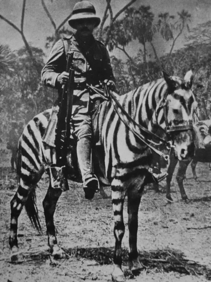 21 Elegantly Attired Equines Throughout History