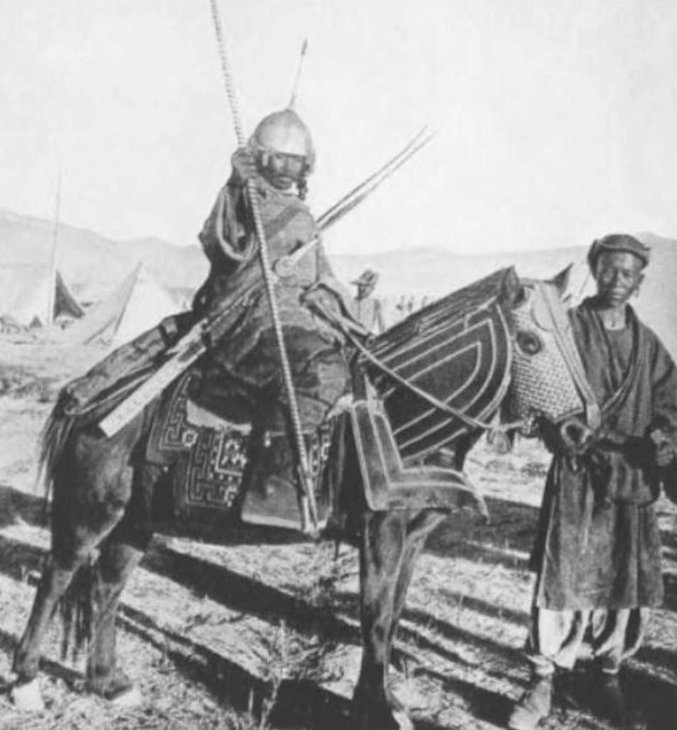 21 Elegantly Attired Equines Throughout History