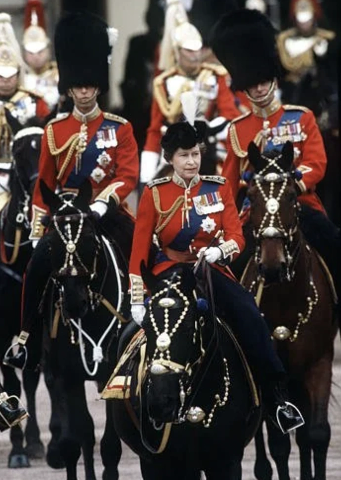 21 Elegantly Attired Equines Throughout History