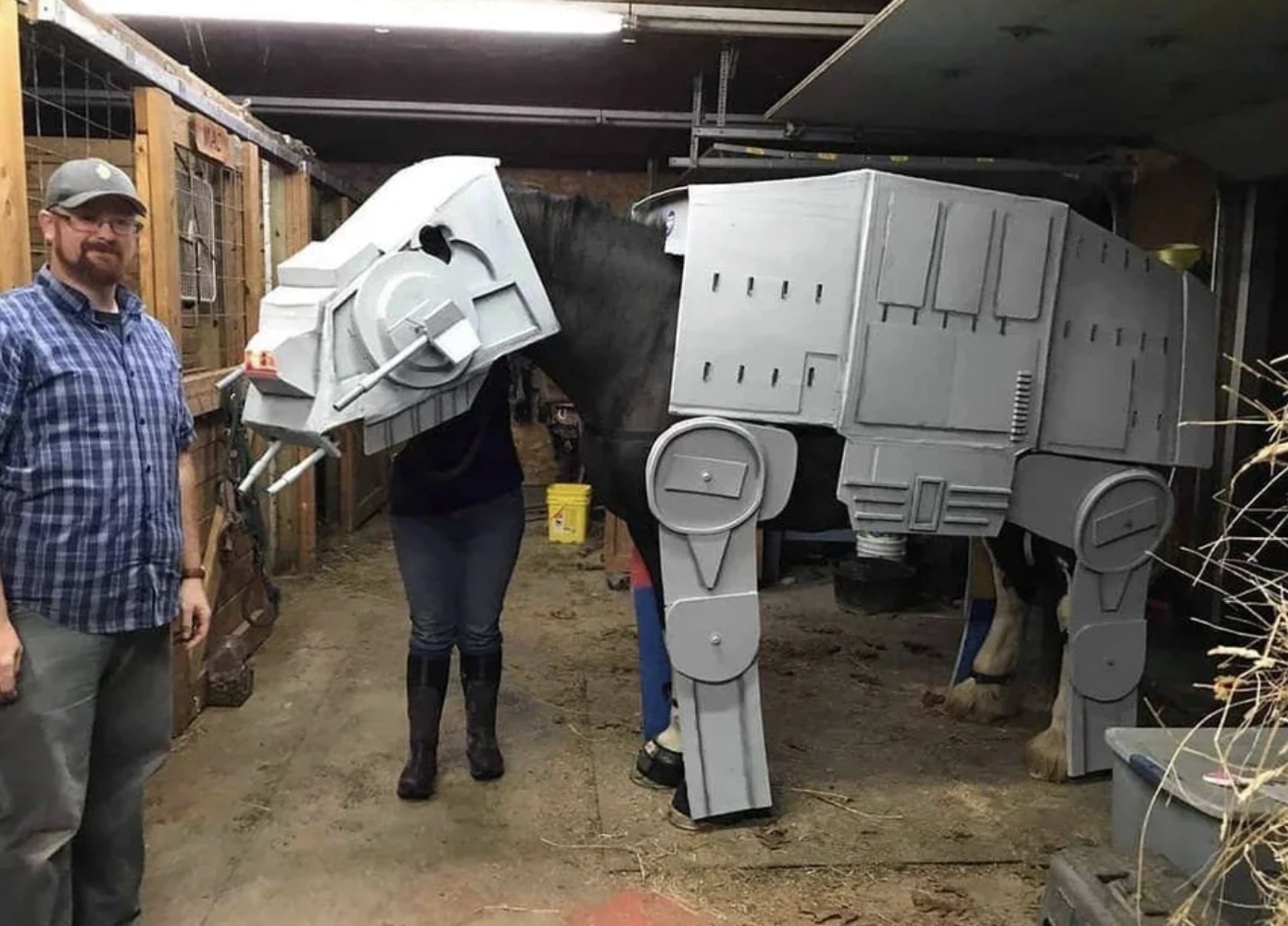 21 Elegantly Attired Equines Throughout History