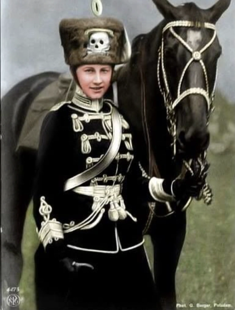 21 Elegantly Attired Equines Throughout History