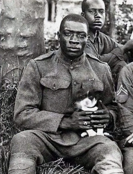 20 Powerful Images of the Brave Harlem Hellfighters in Action