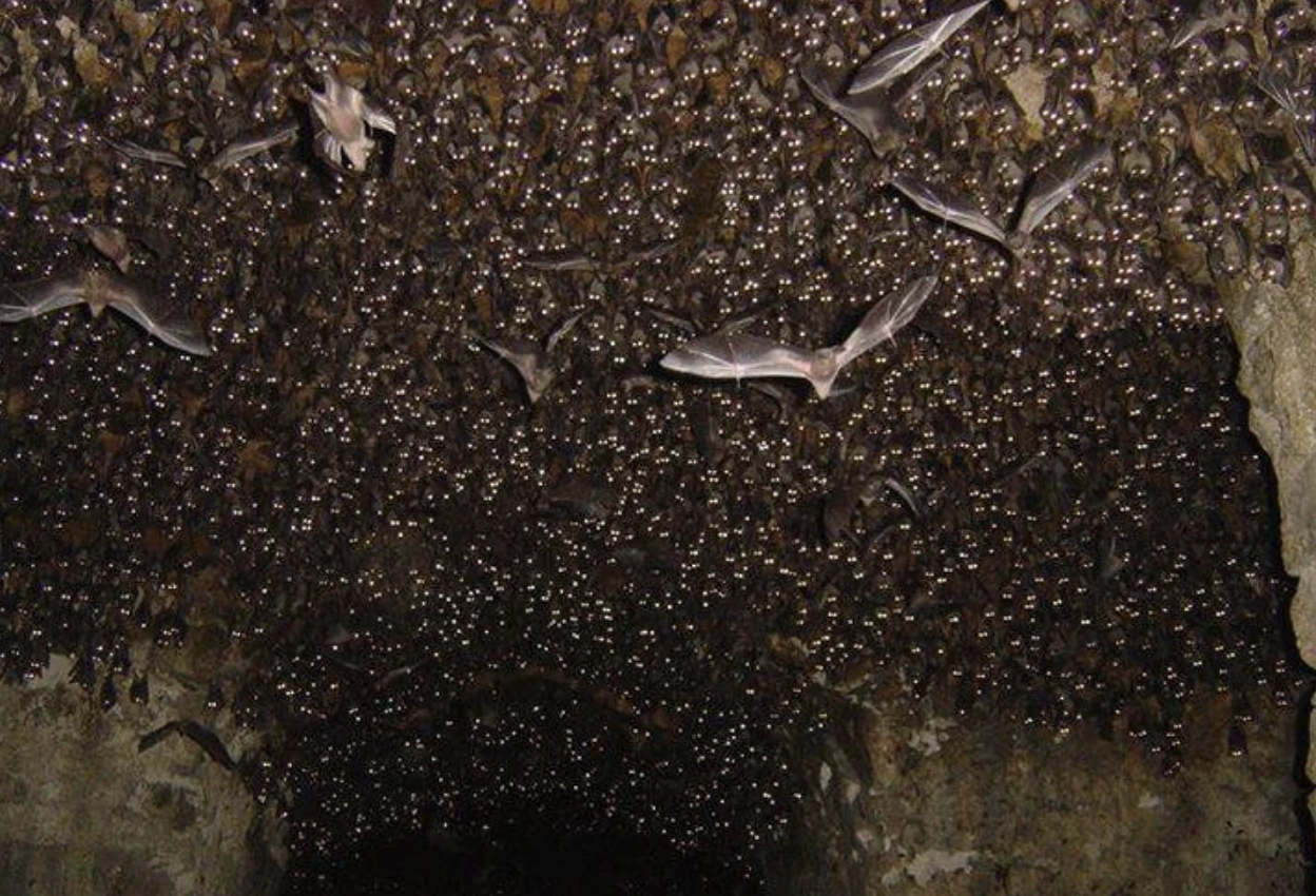 Exploring the Depths: 22 Breathtaking Cave Photos for Experienced Spelunkers