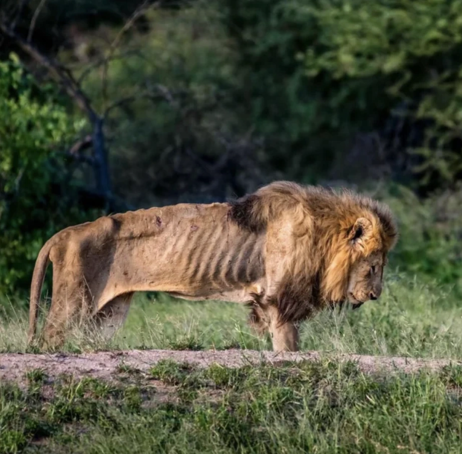 20 Captivating Images to Elevate Your Sunday