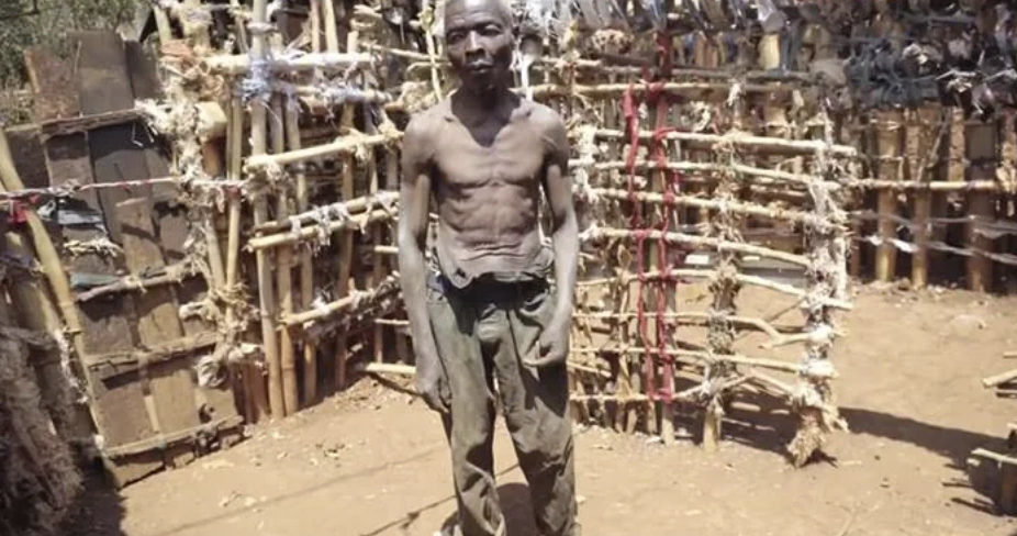 20 Captivating Images to Elevate Your Sunday