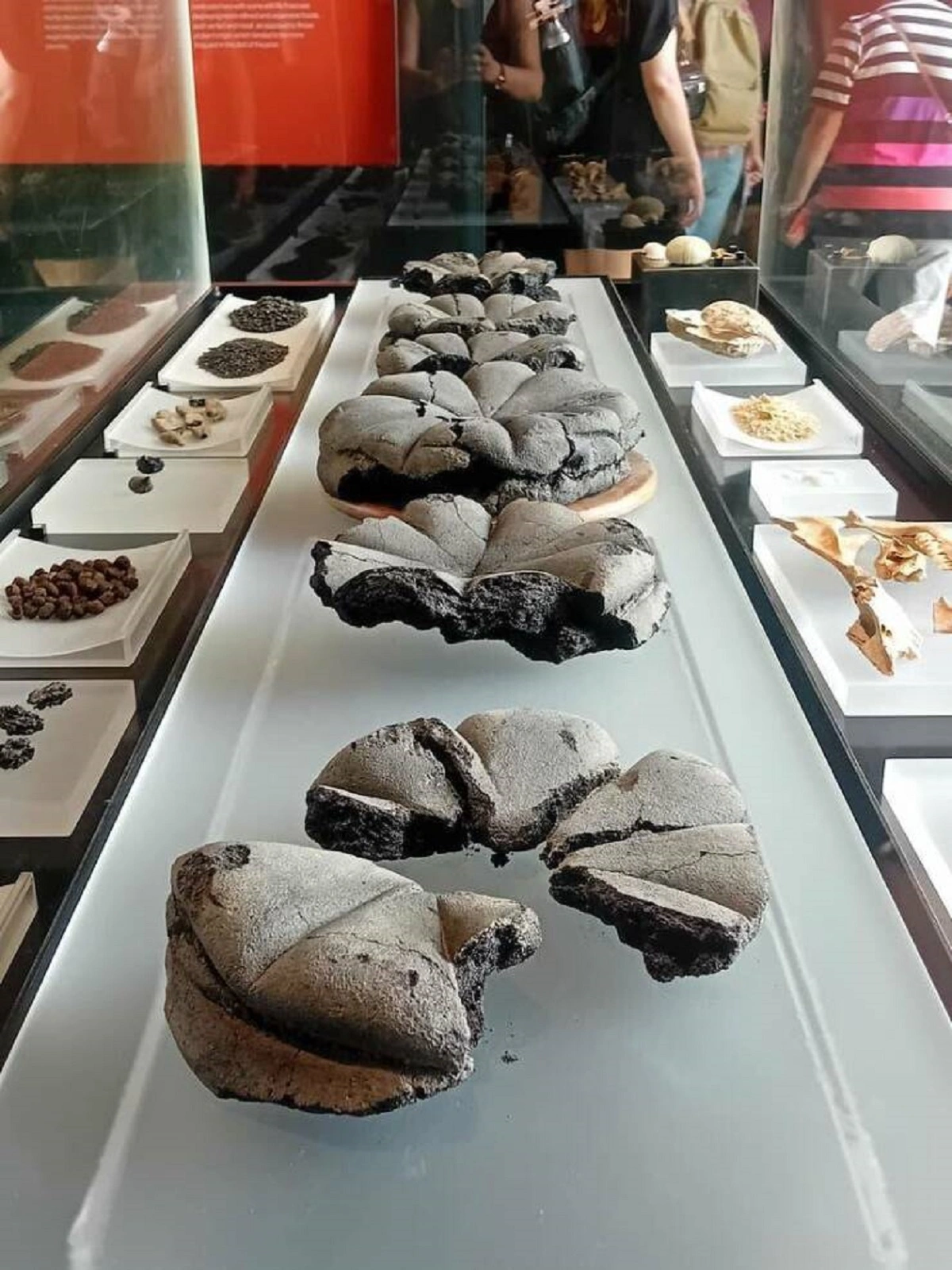 36 Captivating Images to Spark Your Curiosity