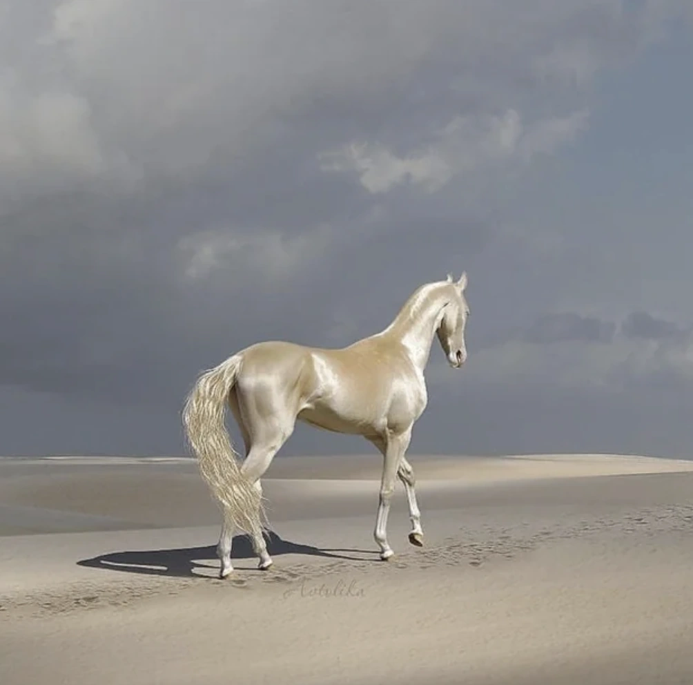 22 Captivating Images That Provide a Fresh Outlook