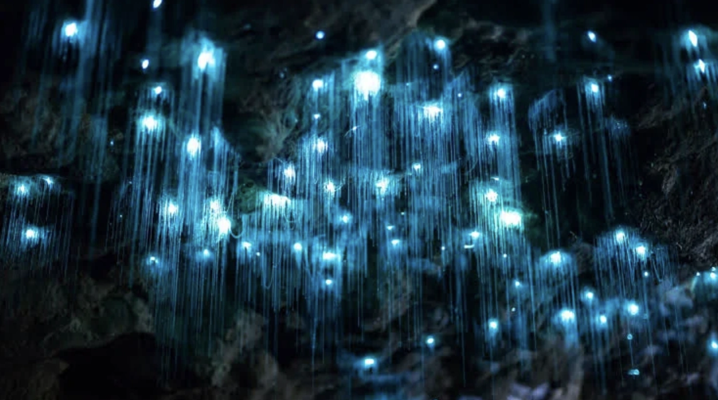 22 Captivating Images That Provide a Fresh Outlook