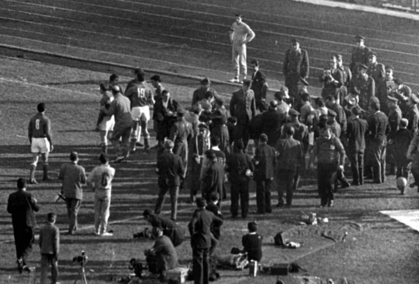 20 Captivating Images to Brighten Your Day