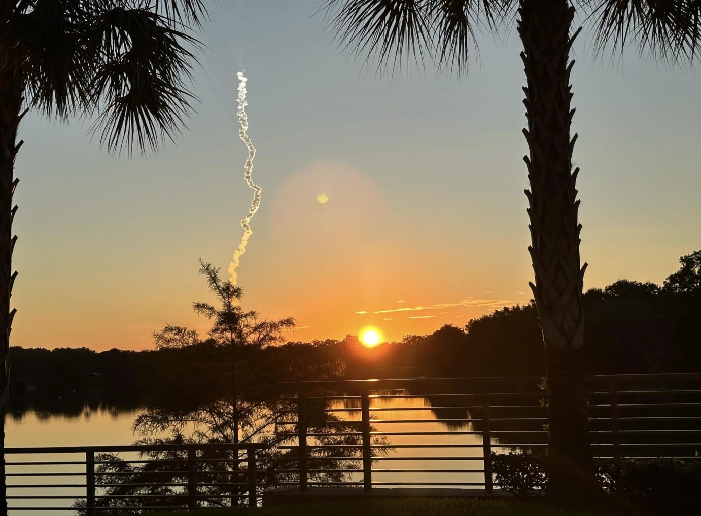 20 Captivating Images to Brighten Your Day