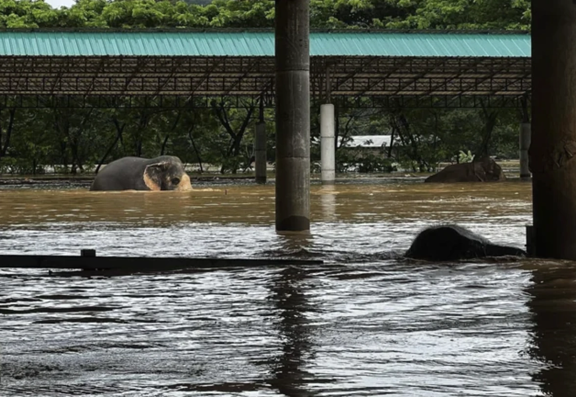 20 Captivating Images to Brighten Your Day