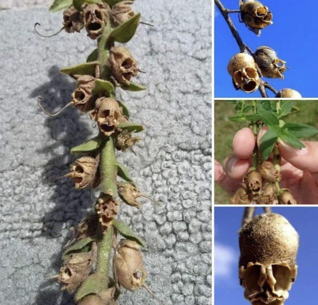 20 Captivating Images to Brighten Your Day