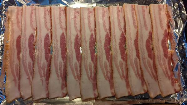 Wild Discoveries: 22 Intriguing Finds and Cool Sightings