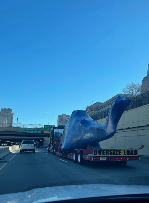 Wild Discoveries: 22 Intriguing Finds and Cool Sightings