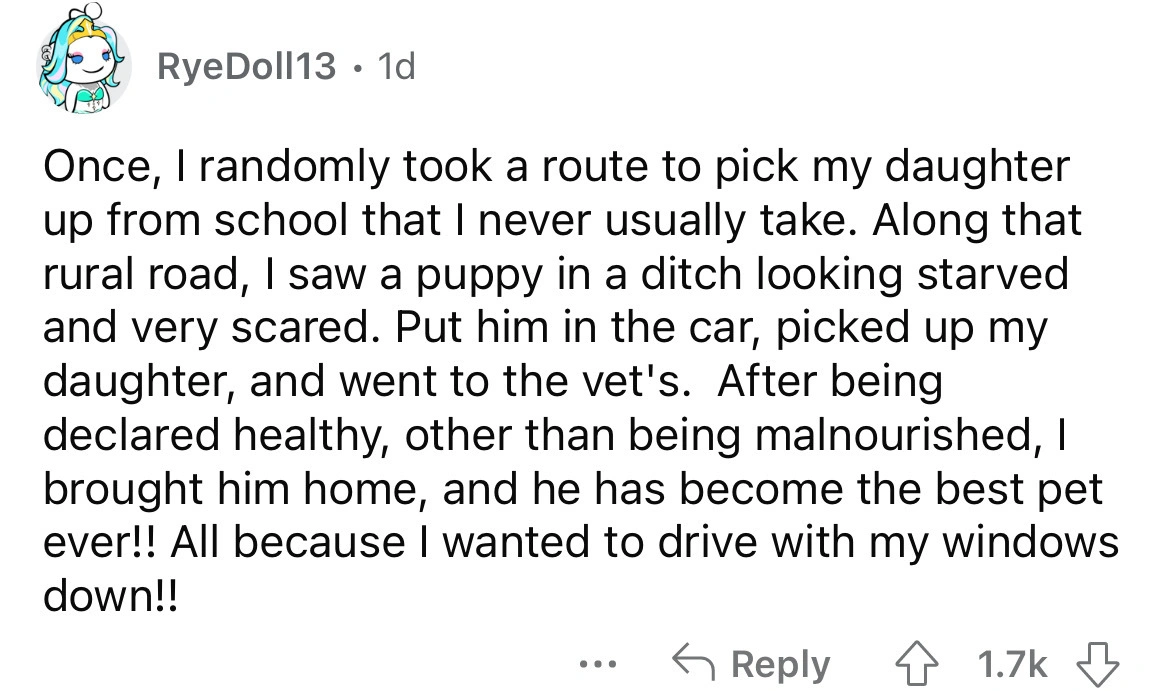 25 Individuals Reveal Spontaneous Yet Brilliant Choices They Made