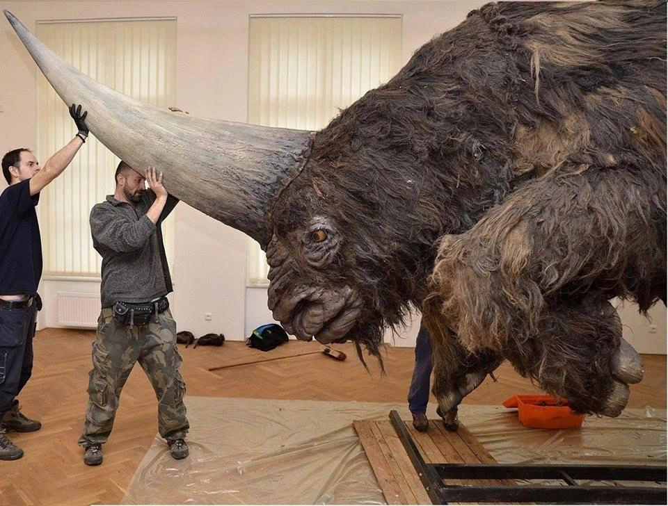 33 Mind-Bending Images to Shift Your Perception of Reality