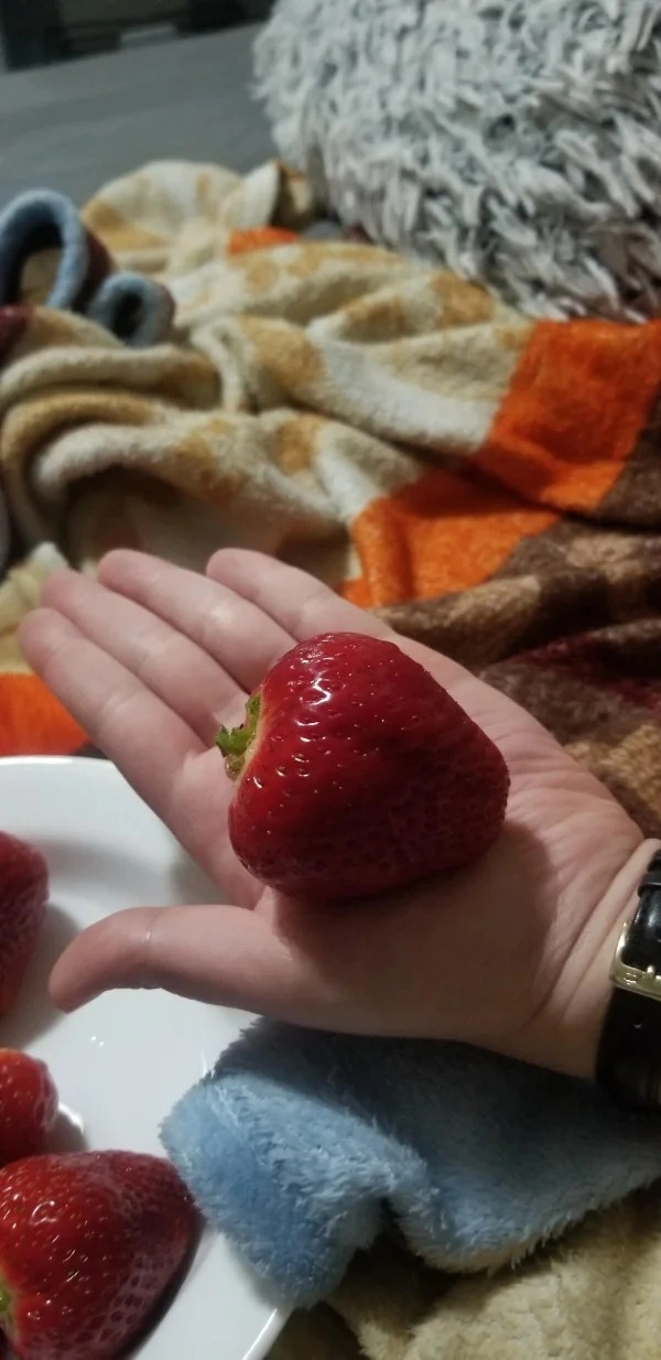 33 Mind-Bending Images to Shift Your Perception of Reality