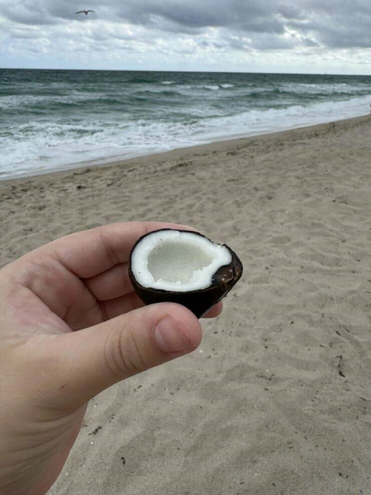 Discover Something New: 32 Captivating Photos That Will Amaze You