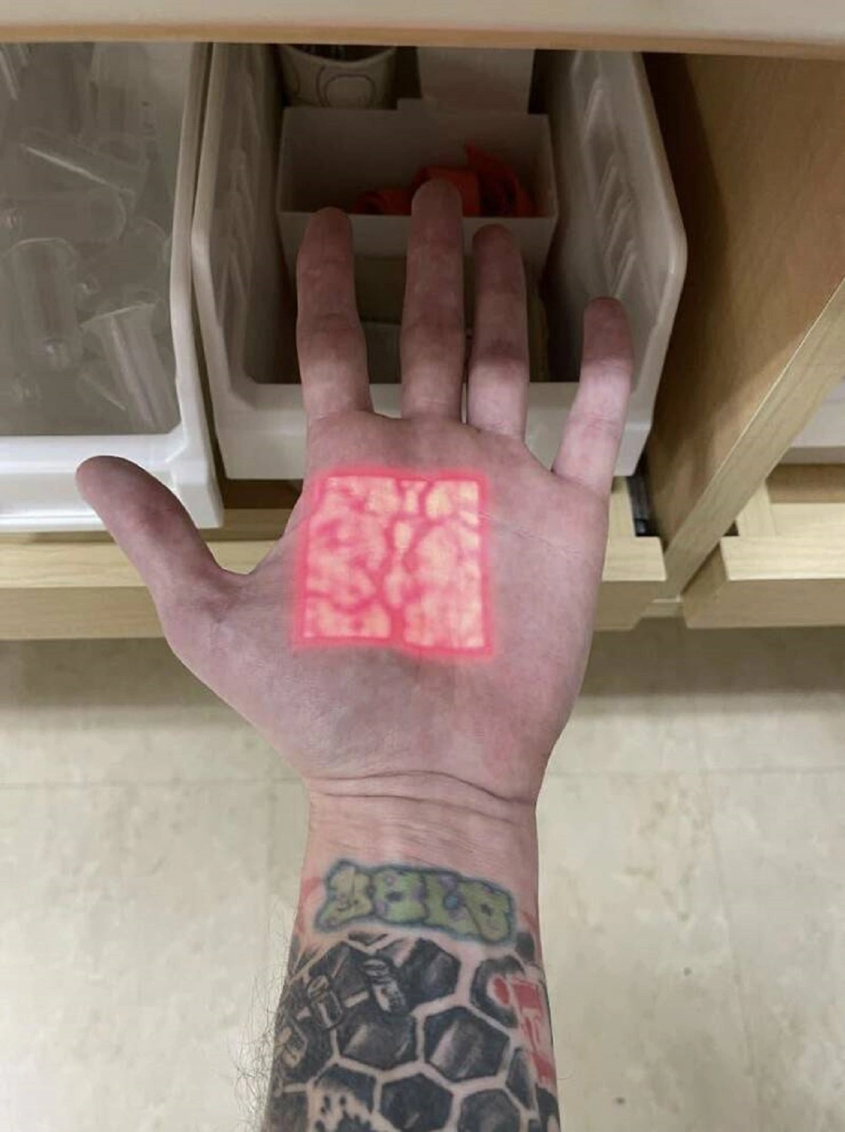 Discover Something New: 32 Captivating Photos That Will Amaze You