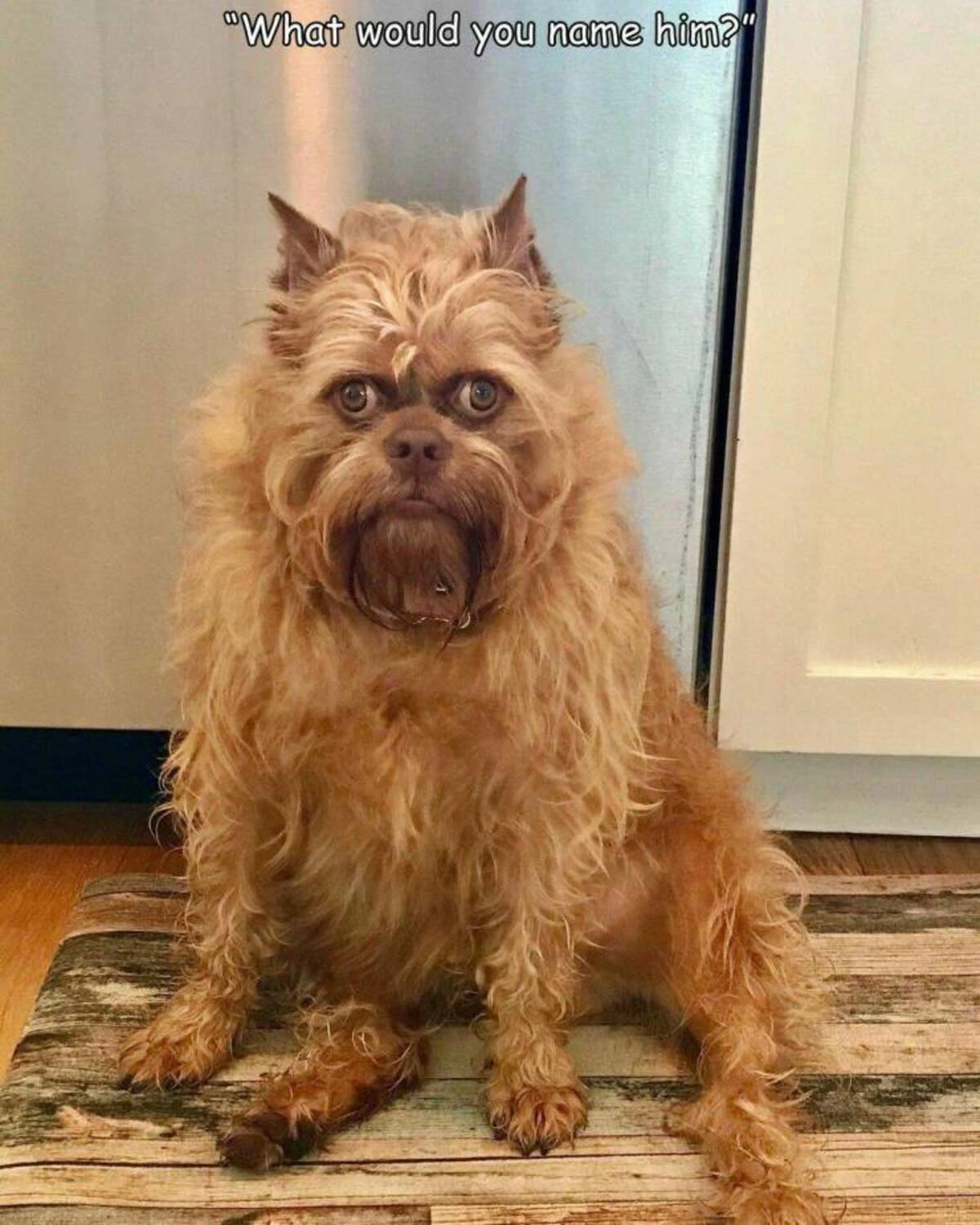 Weekend Wackiness: 46 Zany Zingers for a Saturday Morning