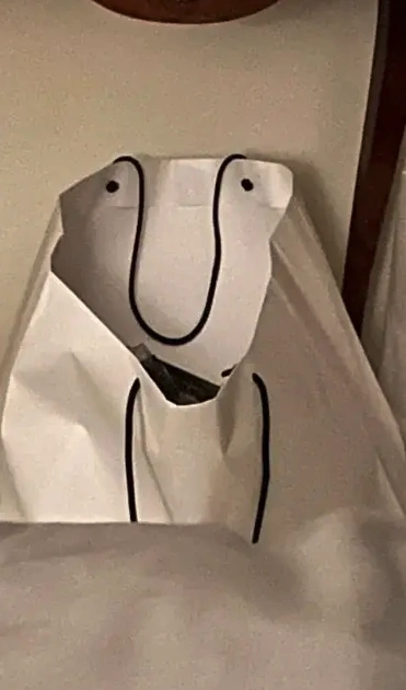 20 Ordinary Objects That Resemble Faces