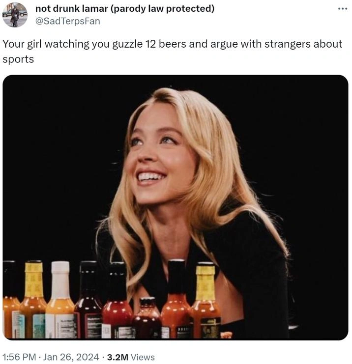 27 Spicy Sydney Sweeney 'Hot Ones' Memes to Add Some Heat