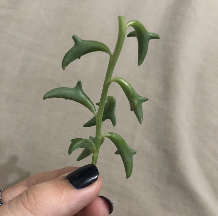 28 Surprising Discoveries and Hidden Gems Uncovered by People