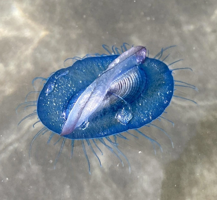 28 Surprising Discoveries and Hidden Gems Uncovered by People