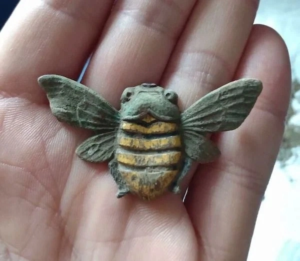 28 Surprising Discoveries and Hidden Gems Uncovered by People