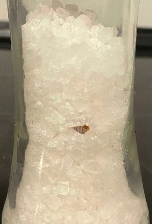 28 Surprising Discoveries and Hidden Gems Uncovered by People