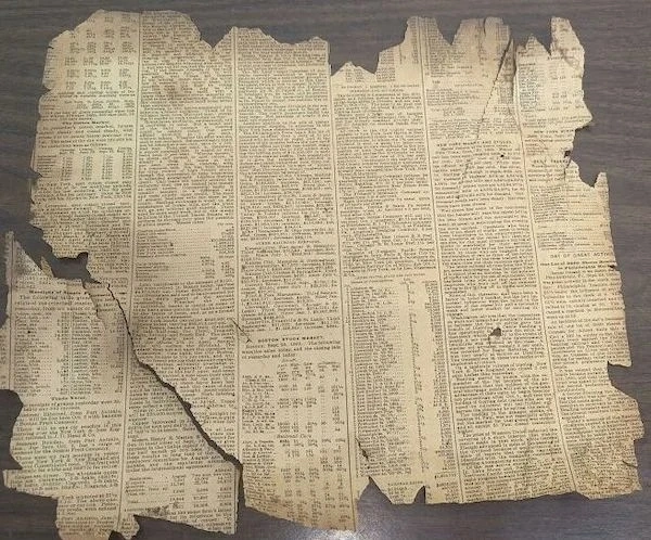 28 Surprising Discoveries and Hidden Gems Uncovered by People