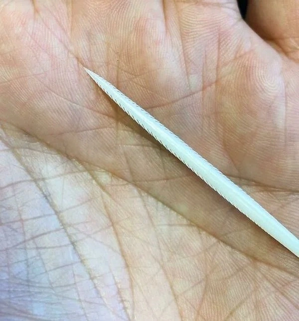 28 Surprising Discoveries and Hidden Gems Uncovered by People