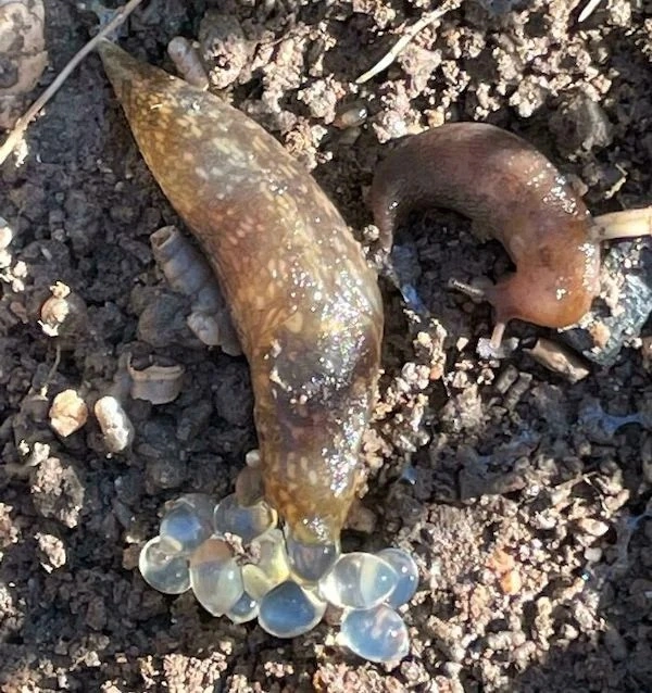 28 Surprising Discoveries and Hidden Gems Uncovered by People