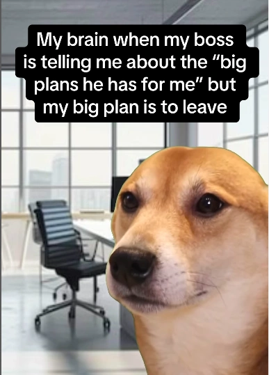 20 Hilarious Work Memes to Brighten Your Monday