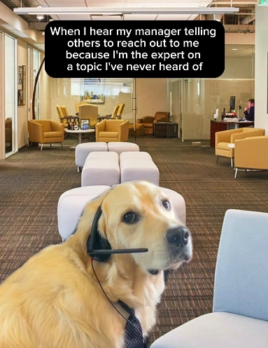 20 Hilarious Work Memes to Brighten Your Monday