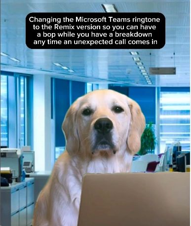 20 Hilarious Work Memes to Brighten Your Monday