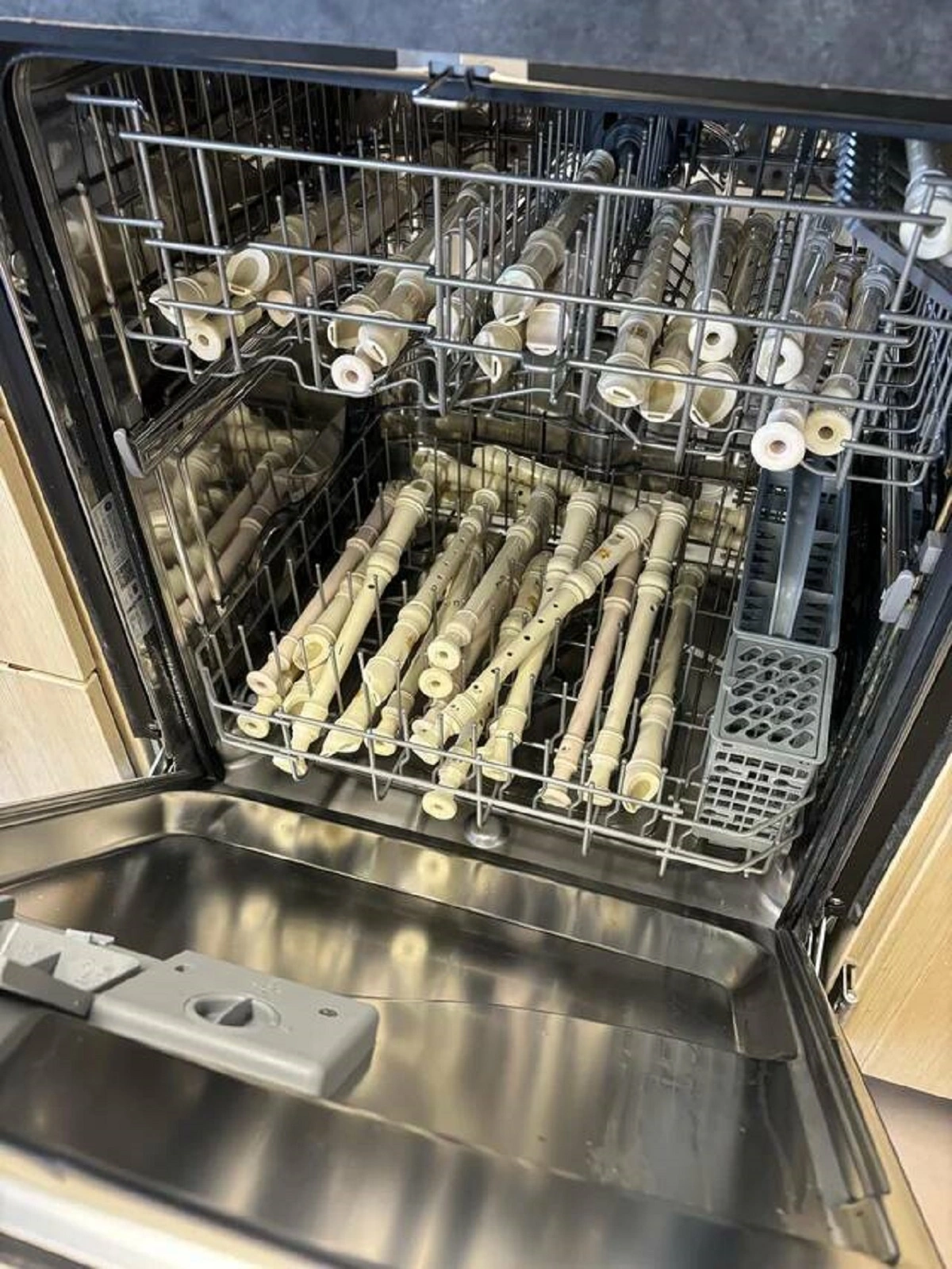 36 Unusual Sights That Will Capture Your Attention