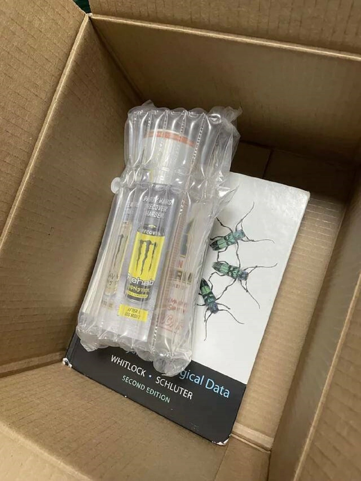 36 Unusual Sights That Will Capture Your Attention