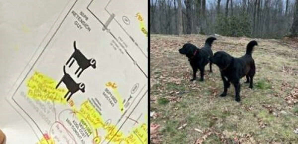 36 Unusual Sights That Will Capture Your Attention