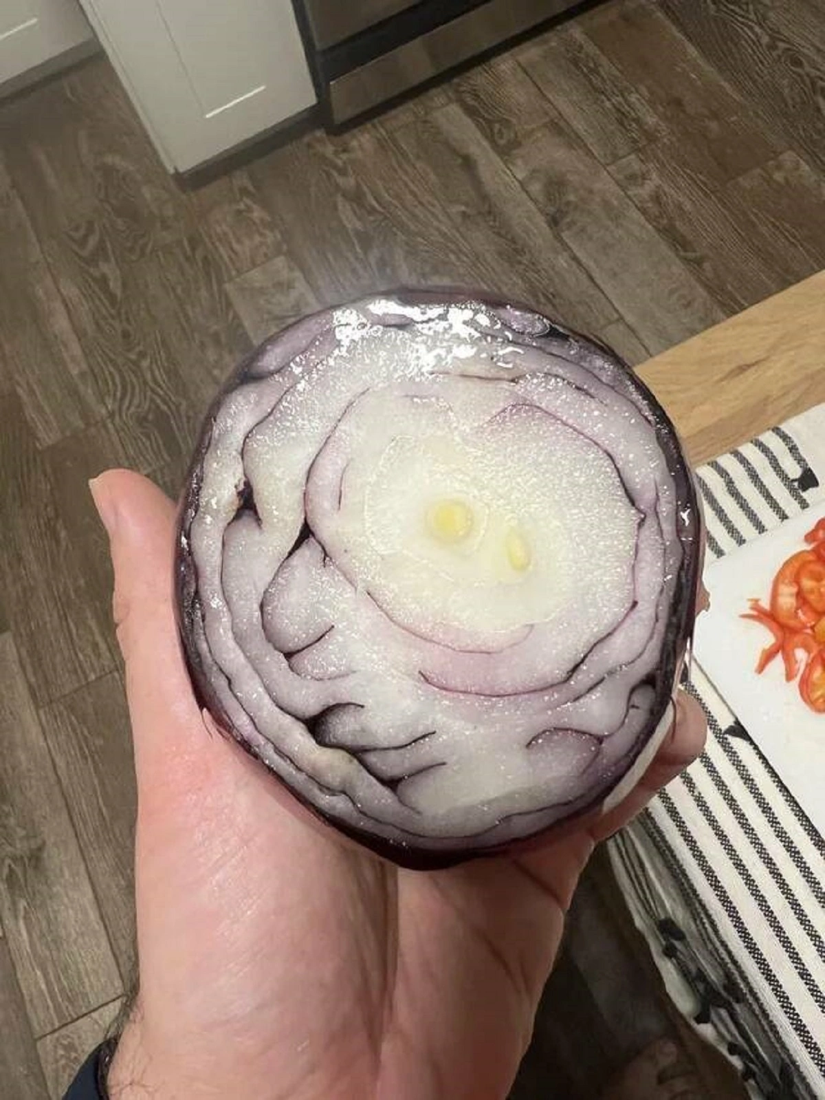 36 Unusual Sights That Will Capture Your Attention