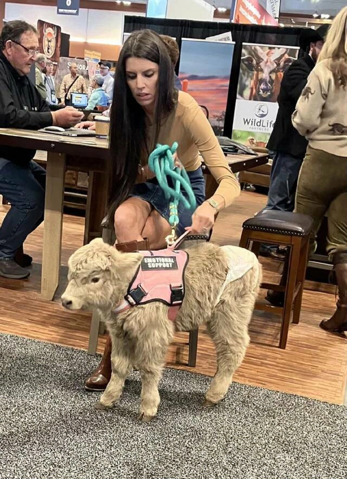 36 Unusual Sights That Will Capture Your Attention