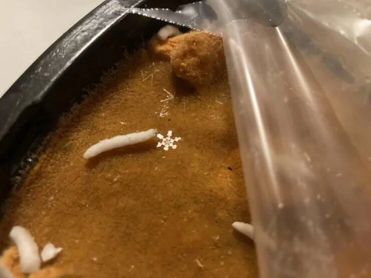 36 Unusual Sights That Will Capture Your Attention