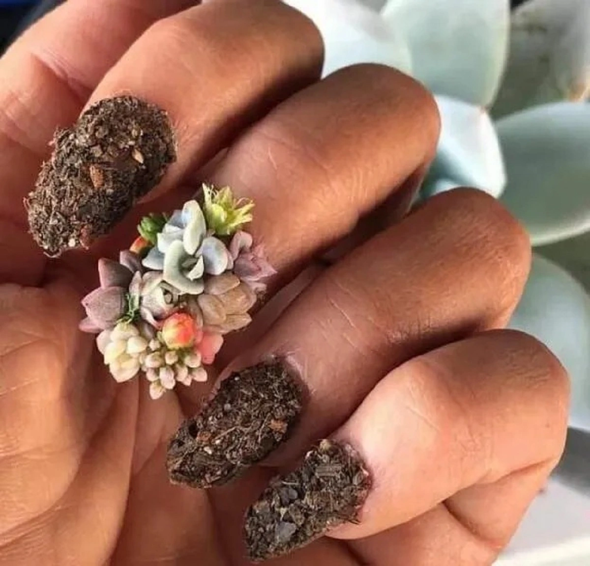 Start Your Day Right with 54 Fresh Pics and Memes: Friday Morning Fun