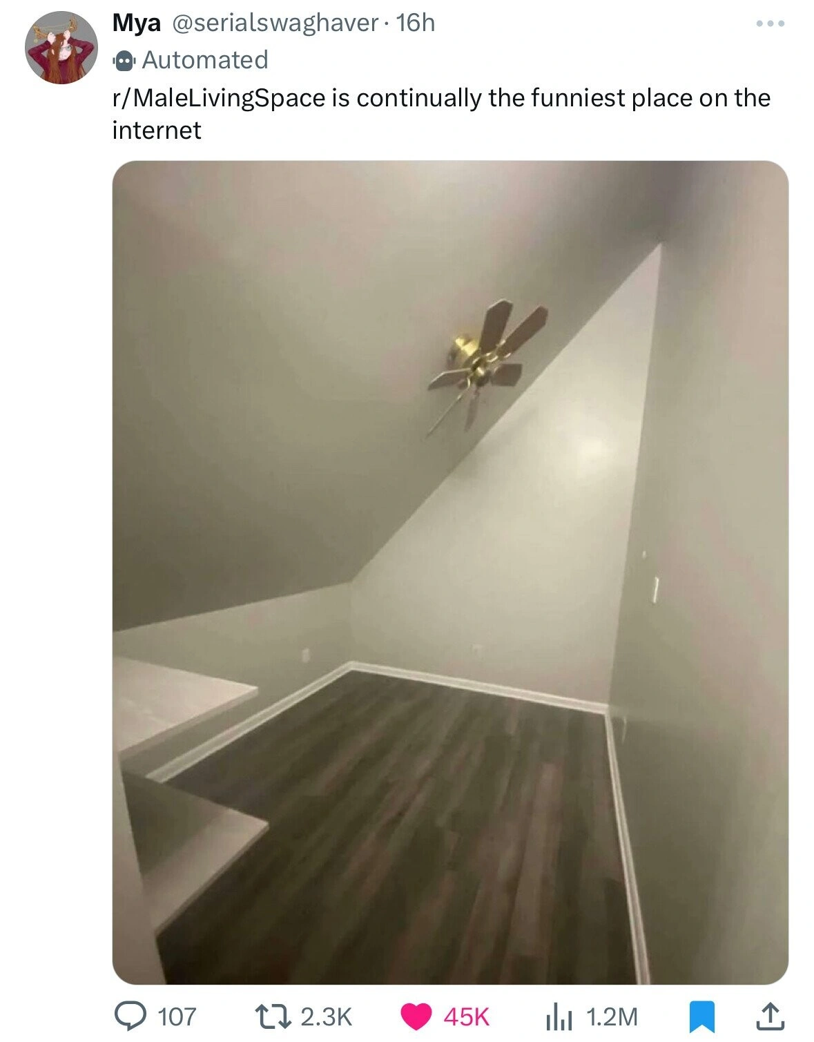 Start Your Day Right with 54 Fresh Pics and Memes: Friday Morning Fun
