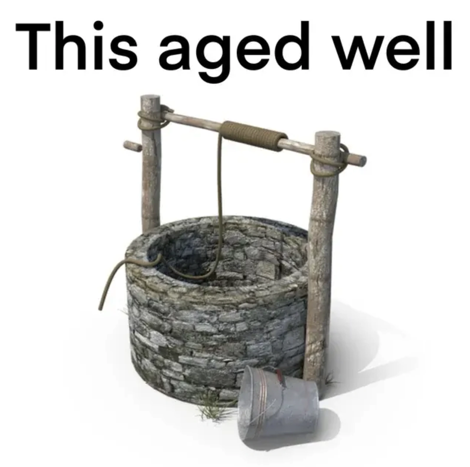 25 Side-Splitting Memes that Nail it with Accuracy