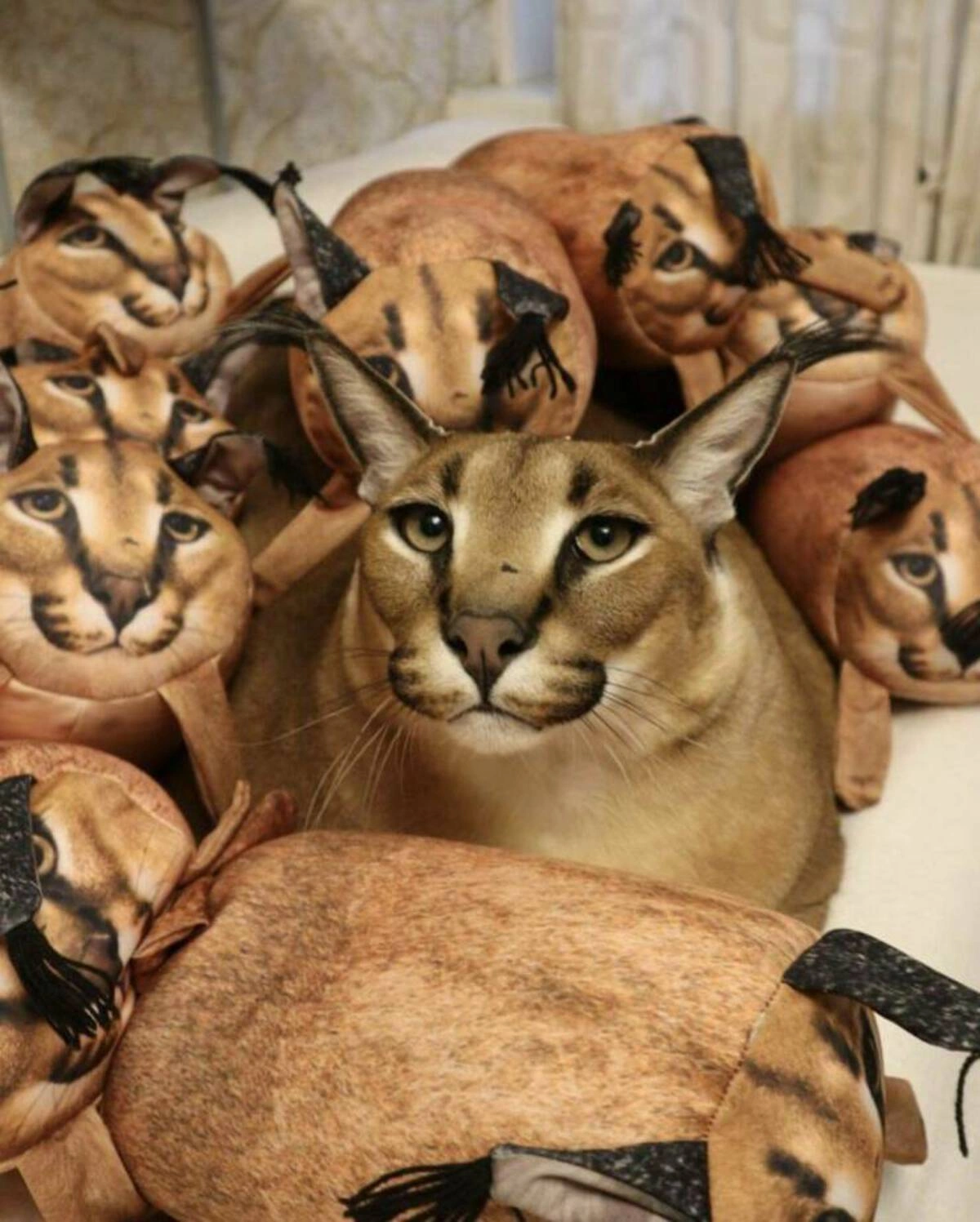 Midweek Mix: 48 Entertaining Images, Memes, and Tweets to Brighten Your Snowy Day