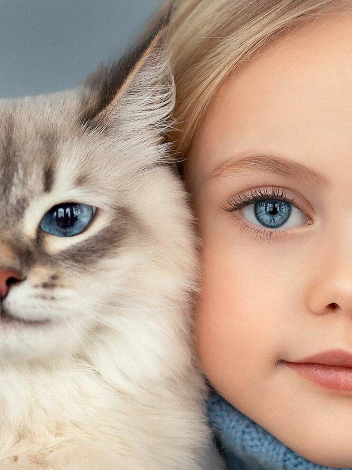 Midweek Mix: 48 Entertaining Images, Memes, and Tweets to Brighten Your Snowy Day